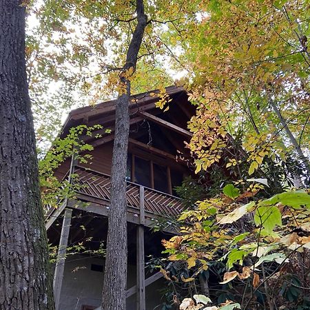 Villa Above Ole Smokys Clouds à Gatlinburg Extérieur photo